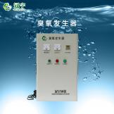 10g氧氣型臭氧發(fā)生器